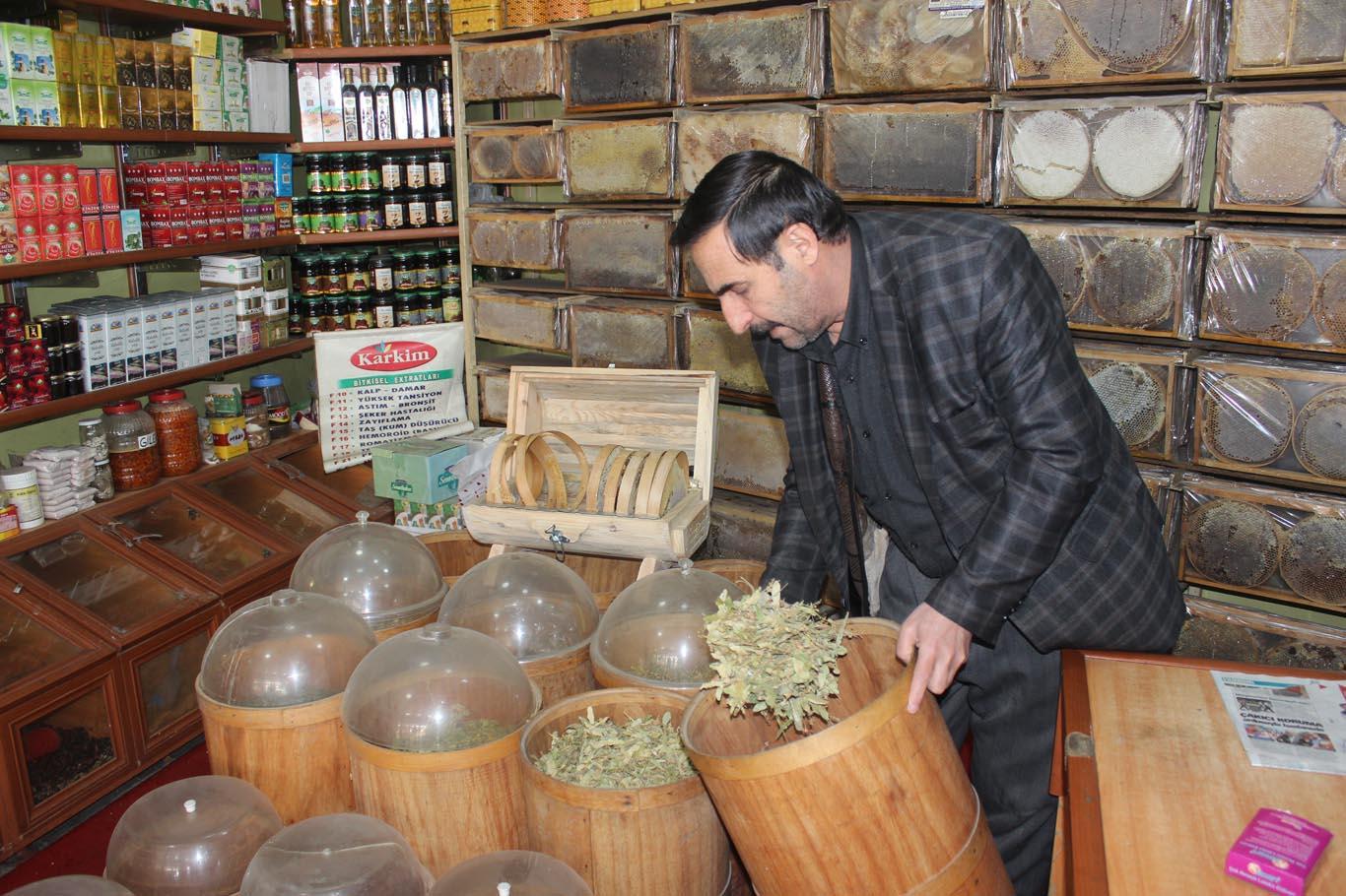 Ihlamurun fiyatı cep yakıyor